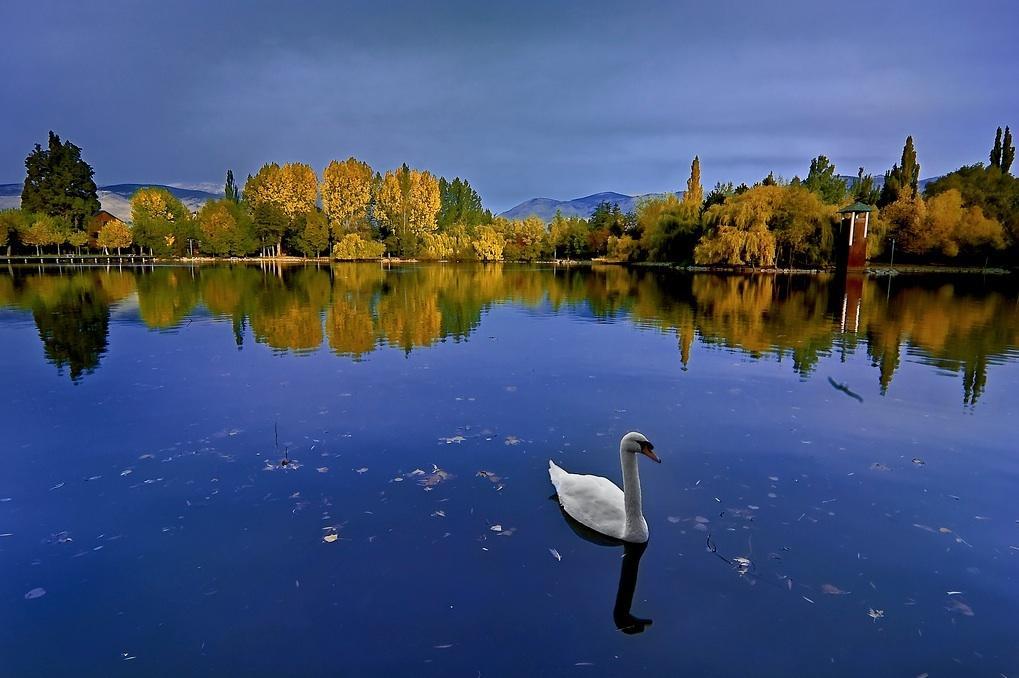 Hotel Del Lago Puigcerdà Exteriör bild